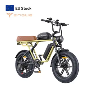 ENGWE M1 250W 48V Double Lithium Battery E-bike Dual Suspension Electric Mountain Bike 20 Inch OEM City Bicycle