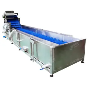 LWT Industrial Sterilization Air Bubble Fruit/Vegetable Washing/Washer/Cleaner Machine for Food Processing