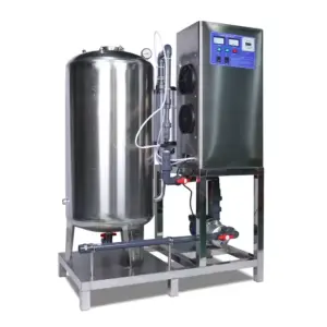 Oxygen Source Ozone Water Machine for Food Machinery Potato Peeling Machine OZONE Generator Sterilizer