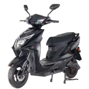 1000W Scooter Motocycle/Adult Electric Motorcycle/Electric Motorcycle for Teenagers