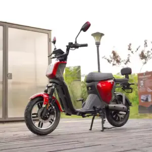 F&R Disc Brakes 1000W 38Km/H 48V20Ah Motor Bike With Pedal Smart E-Scooters Electric Motorbike Motor