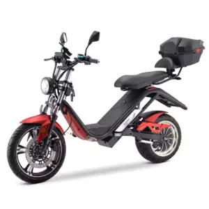 Citycoco Electric Scooter,High Power Electric Motorcycle