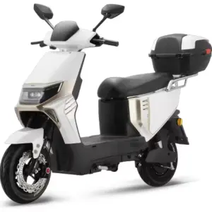 Super Power E Scooter Modern E-bike 1000W Powerful Electric Motorcycle Mobility Scooter