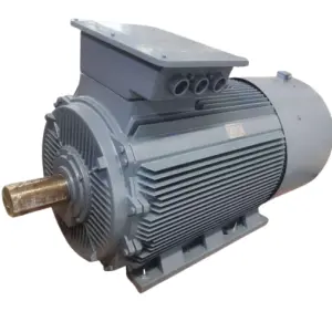 Electric Generator 20KW 300RPM 100KW Permanent Magnet Generator Motor