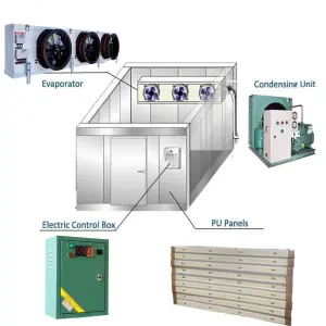 Industrial Cold Room Walk in Freezer -18 for Meat Slaughter 4x3x2.5m