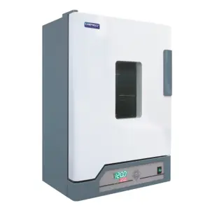 Constant Temperature Drying Oven