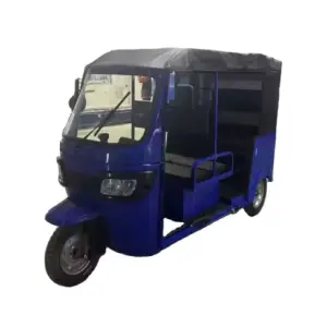 China Supplier Supply Motor Tricycle Truck Carrying Passenger and Cargo Small Elderly Mobility Scooter