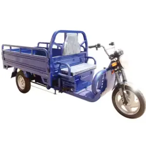 Electric Cargo Tricycle 2000w Motor Large Capacity and Heavy Load Water Battery Tricycles 3 Wheel Electric Mobility Scooter