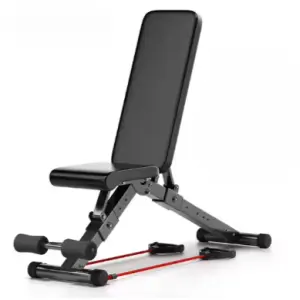 Professional Home Training Gym Bench Asuka Foldable Fitness Chair Adjustable Sit-up Equipment Dumbbell Bench