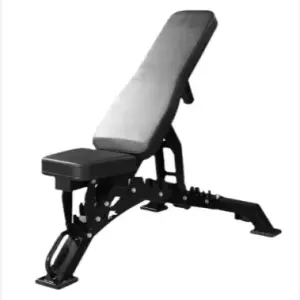 Commercial Fitness Chair Adjustable Metal Dumbbell Bench Multi-Functional Home Gym Equipment Sit-Up Bird Bench