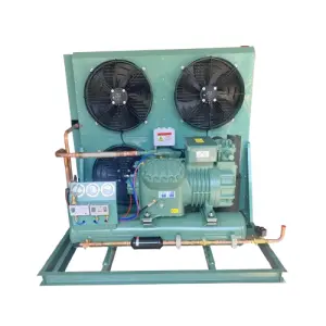 Large Logistics Cold Storage Walk-in Refrigeration Equipment Cold Storage Refrigeration Condensing Unit Cold Storage Price 380V