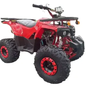 Warrior 200 Cc Atv 4 Wheeled Chain Drive Quad Atv 200cc Atv for 2 Passengers