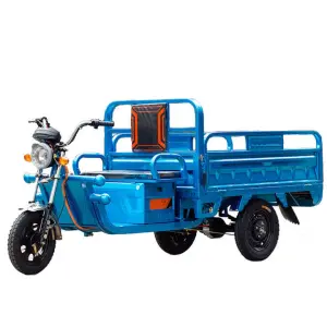 Tricycle Loader Cargo Tricycle 3 Wheeled Motorcycle Agricultural Tricycle Motor Trike Electric Vehicle