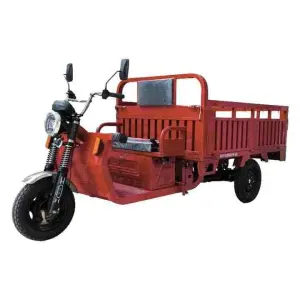 Electric 125cc Rikshaw Farm Truck Fast- 4-Wheel Aluminium 60V Passenger Closed Body Construction Machinery