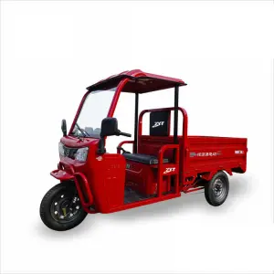 Electric Tricycle Electric Vehicle 3 Wheel Cargo Manned  Agricultural Household Commercial Motorcycle Mad