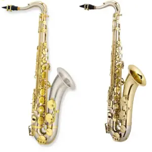 Tongling Music Tenor Saxophone in B Flat (Model TLTS-A610)