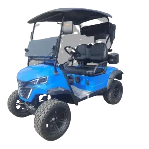 Arrival Style for Exclusive Partner  Design 2 Passengers Electric  Golf Carts Vehicle Lithium Battery