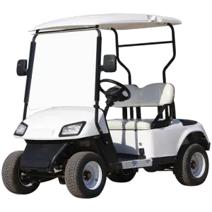 80-100km Mini 30km/h Club Carts Buggy 2 Seat Single an Electric Golf Cart for Golf Courses