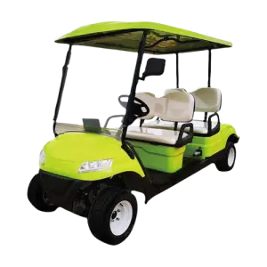 2+2-Seater Off-Road Electric Golf Cart with 5kW Motor and 48V Lead-Acid/Lithium Battery