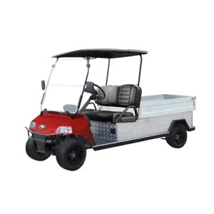 2025 Heavy Duty Buggy Utility Vehicle for  With  Cargo Box Trolley HDK EVOLUTION Electric Golf Carts