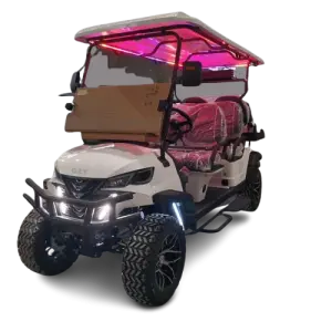 2025  Model Black 6-Seater Electric Golf Cart CE Certified  Sightseeing Cart with 48v Battery Voltage
