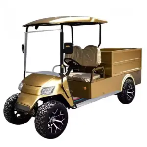 Golf Cart Brand Electric Golf Cart