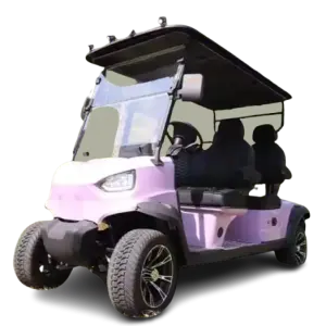 4 Seater 6Seater Mini 48V Electric Golf Cart