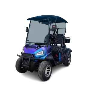 2-6 Seater Electric Golf Carts - Affordable Buggy Car