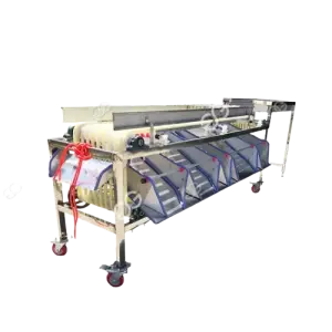 Electronic Sorter Of Fruits 5MtHr Grape Sorting Machine Fruit Packing Conveyor Kiwi Berry Machine Sorter