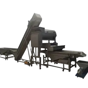 Industrial Use Grape Destemmer Machine to Remove Grapes From The Bunch Before Making Wine