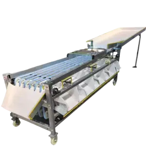 Stainless Steel plum Apricot Cherry Pear Date Selecting Machine Lychee Longan Grape Sorting Machine