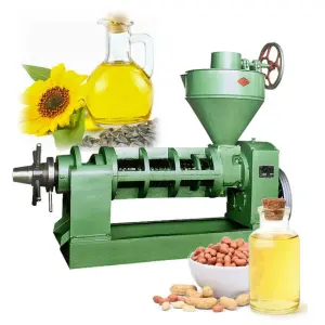 Mini Mill Oil Press Machine for Small Business  Sunflower Soybean Rapeseed Cooking Canola Olive Peanut Seed Oil Extraction