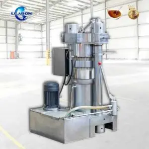 Olive Oil Press Machine Home Use Big Cold Press Canola Oil Press Machine