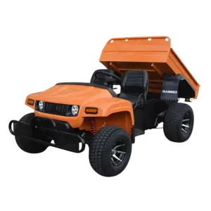 48V 5000W UTV AC motor electric UTV utility vehicle for farm go cart atv