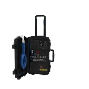 Veterinary Pemf Equine Machine for Rehabilitating Horses With Back Problems