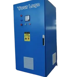 DDP Service High Efficiency 10A Ozone Generator for Water