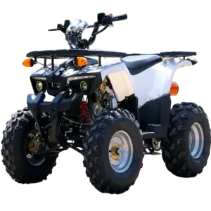 Inteleybike Adult Quad Bike ATV 125cc With Four Wheel ATV Motorcycle For All Terrain off-Road Mountain Bike