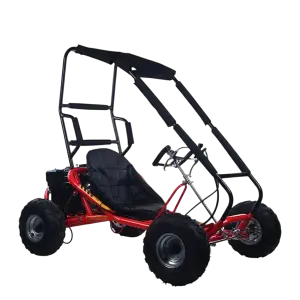 Gasoline 4 Stroke 200cc Racing Go-Kart, Off-Road Dune Buggy for Adults with CE Certification