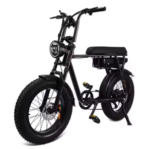 7GO electric bike with hydraulic brake 20 inch fat tire electric cycle ebike bike