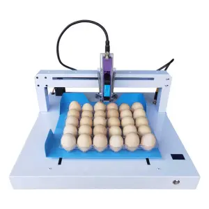 High Speed Automatic Egg Date Inkjet Printer Expiry Date Coding Machine for Eggs