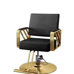 Elastic Cushion Barber Salon Chair