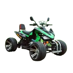 200cc 300cc Mars Mountain Off Road Bike Dirt Quad Farm ATVs 4 Stroke