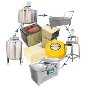 ORME Dairy Process Machine Cheddar Cheese Production Line