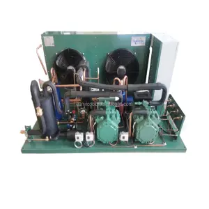 Bizer Semi Hermetic Refrigeration Unit Heat Exchange Equipment Core Components Motor & Engine for Manufacturing Plant Cold Room