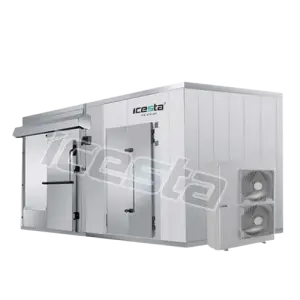 Cold Storage Industrial Freezer Refrigeration 125HP 225HP Condensing Unit 20ft Industrial Cold Room for Fish