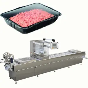 Multi Functional DLZ Rigid Package Chicken Meat Thermoforming Vacuum Packaging Machine Automatic Tray Sealer Gas Fill
