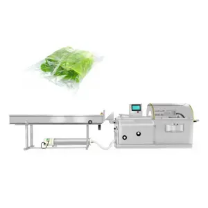 SY-680 Automatic Multifunction Vegetable Packing Machine