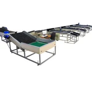 Fruit and Vegetable Sorter