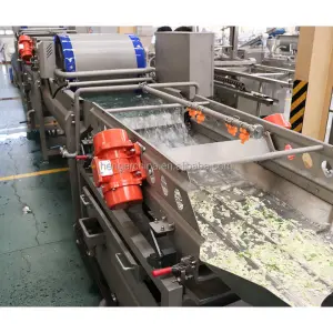 Vegetable & Potato Processing Line – Automatic Washing, Peeling & Chips Production System