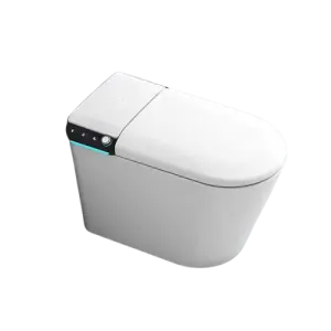 Luxury Smart Toilet Fully Function Intelligent Foot Sensor 110V,220V P Trap S Trap Automatic Toilet